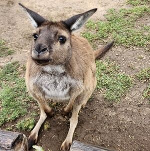 Meet your Posher, Séquel